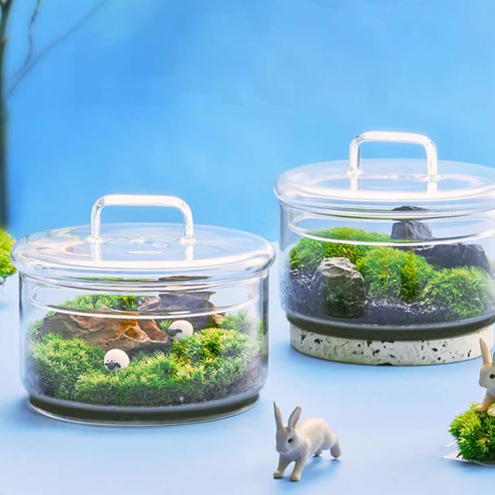 Baluue Creative Jar with Lid Glass Plant Terrarium with Lid Round Fish Bowl Air Planter Bulb Succulent Pot Vase Micro Landscape Bottle for Tabletop Decoration Bud Vases