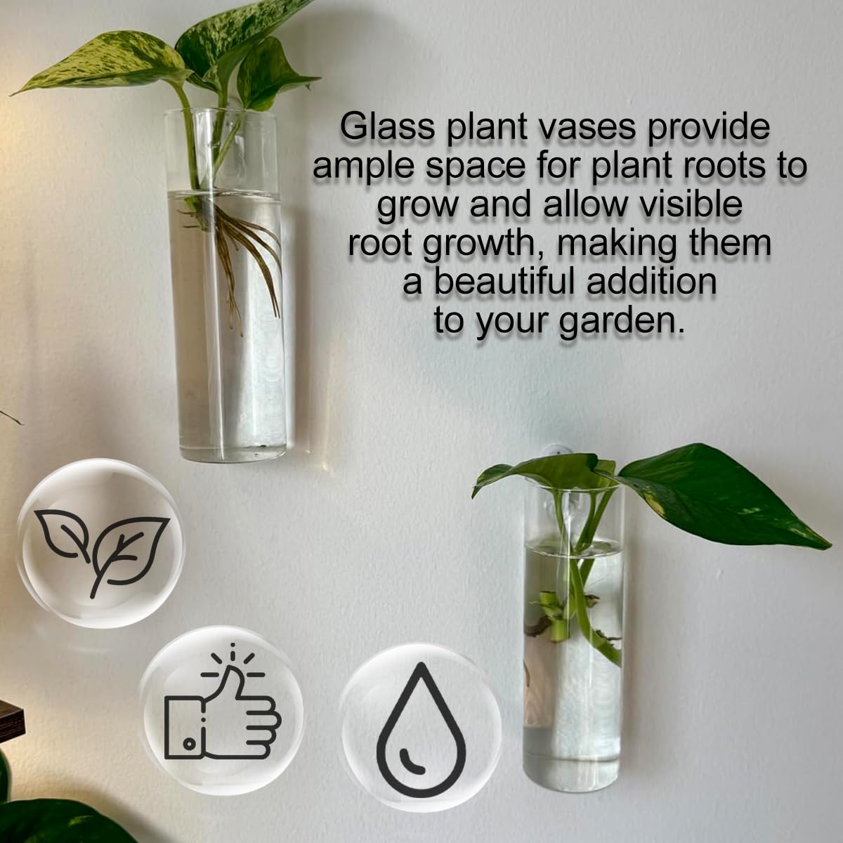 4 Pack Wall Hanging Glass Plant Holders with Hooks, Hanging Glass Vase Transparent Wall Mounted Propagation Station for Home Decor Dining Table, Cylinder Set