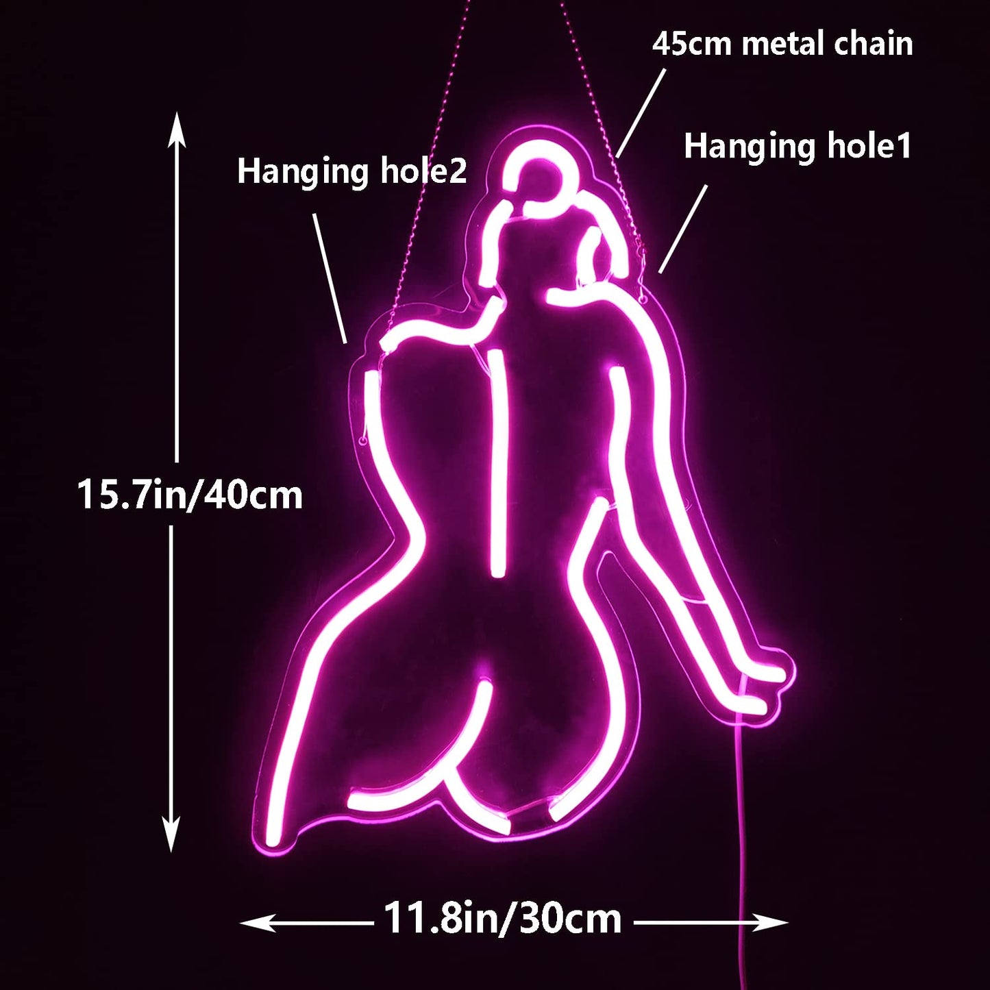 Ajoyferris Lady Back Neon Sign Dimmable LED Lady Sign Woman Neon Sign Sexy Lady Neon Signs for Bedroom Man Cave Bar Store Home Party Art Decor Gifts(16X11 inches,Blue)