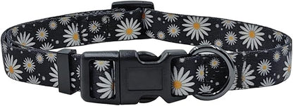 Dog Collar Leash Set, Floral Pattern, Polyester Material, Adjustable Collar and 5ft Matching Leash, for Medium Dogs.(M, Black Daisy)