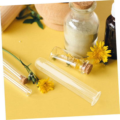 Alipis 5pcs Hydroponic Glass Test Tube Vases for Plant Propagation Transparent Glass Plant Vases for Home and Office Decor Sturdy Wear Floral Water Tubes Multi Use Desk Terrarium