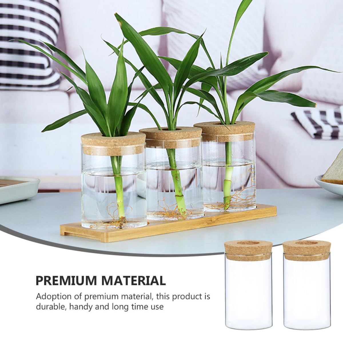 GALPADA Glass Flower Vase Set 2pcs 6.5cm X 10cm with Corked Hole for Indoor Hydroponic Plants and Moss Terrarium Home Decor Floral Arrangement Container