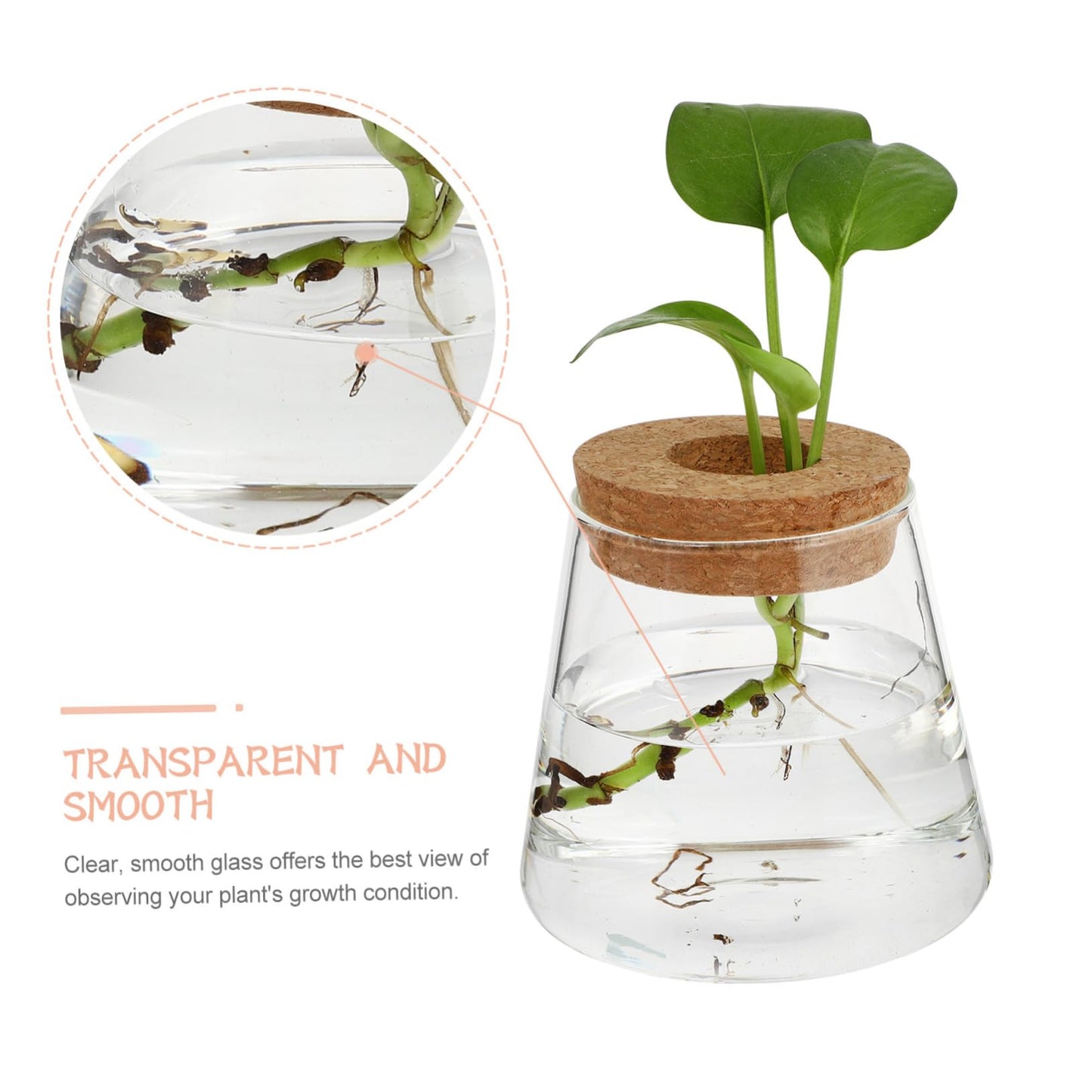 EPIGEIST 2Pcs Hydroponics Vase Planter Chic Desktop Glass Terrarium for Home Office Decor Plant Holder for Observation Growth Design