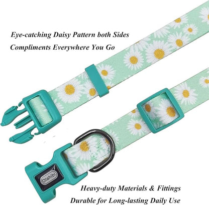 Dog Collar Leash Set, Floral Pattern, Polyester Material, Adjustable Collar and 5ft Matchcing Leash, for Large Dogs.(L, Light Green Daisy)