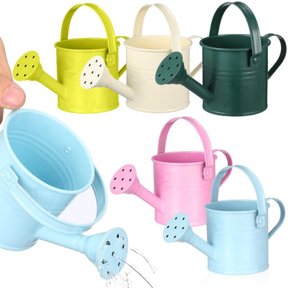 TOYANDONA 5pcs Mini Watering Cans - Small Watering Cans Garden Metal Iron Water Pot for Plants Flowers Bonsai Indoor Outdoor Garden (Random Color)