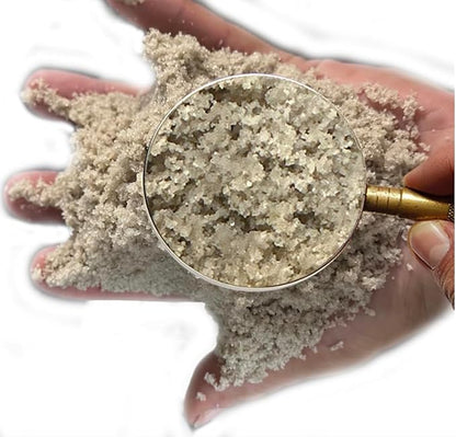 5 Pounds Natural Decorative Real Sand for use in Crafts, Decor, Vase Filler and More | Natural and Non-Toxic, Fun Wet and Dry Indoor and Outdoor, Sandbox, Therapy, and Table Use. W/Container.