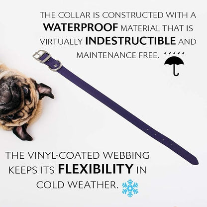Regal Dog Products Medium Purple Waterproof Dog Collar and Leash Set | Heavy Duty Double Buckle & D Ring - 5'ft Leash | Adjustable Biothane Dog Collar | Chew Resistant Waterproof Collar for Dogs