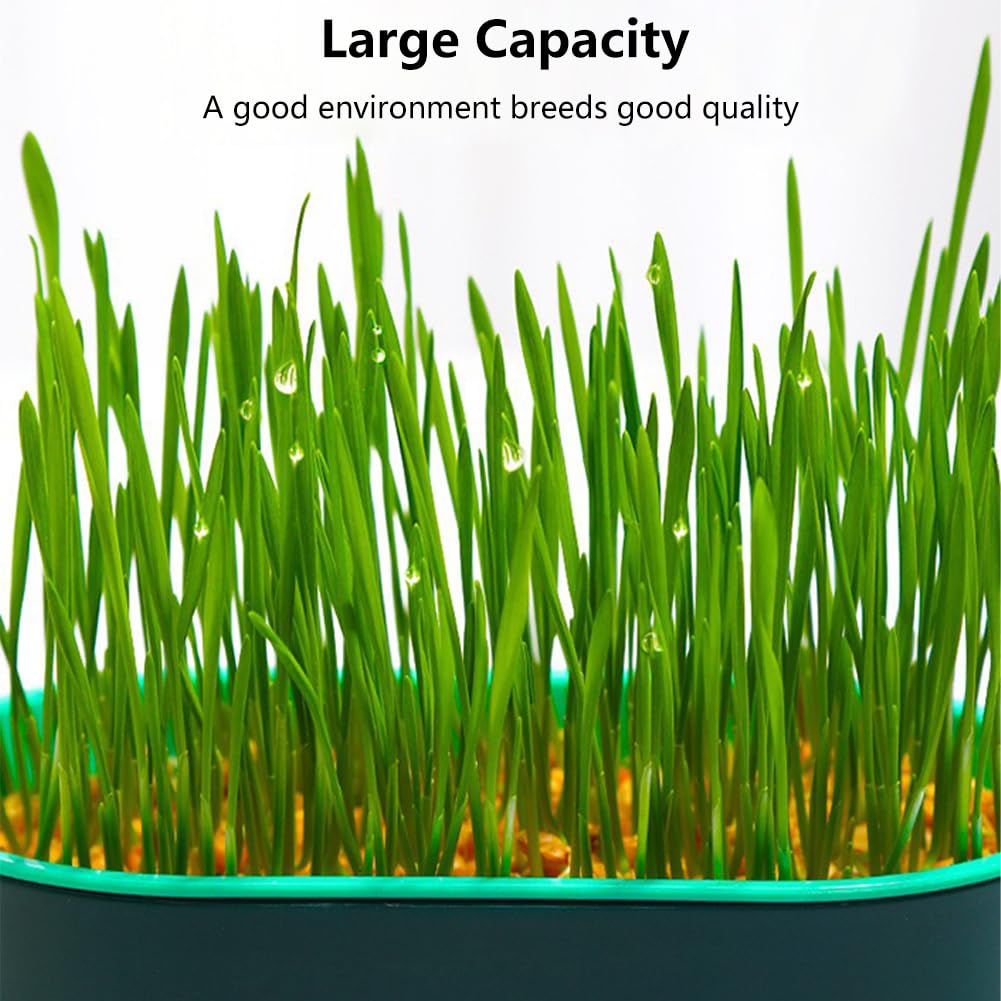 Londehuhai 3pcs Cat Grass Planter, Plastic Catnip Cat Grass Box Wheatgrass Planting Trays Hydroponic Ca-t Gras-s Growing Kits Nursery Ca-t Plant Garden Pots for Indoor/Outdoor Use(Color:3)