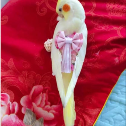 Bird Diaper Cockatiel Clothes Flight Suite, Reusable Parrot Nappy with Waterproof Inner Layer, Cute Pigeon Pants Urine Wet Suit Costume for Conure Macaw (Grey,XS)