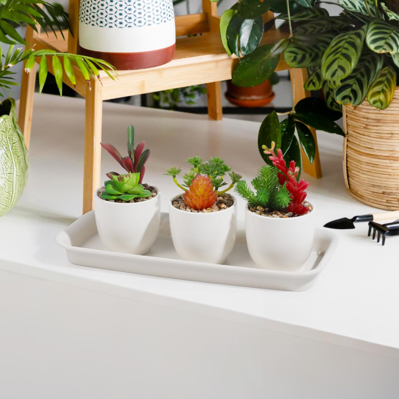 IMIKEYA 5 Pack Rectangular Plastic Plant Drip Trays: 12 Inch White Plant Saucers for Indoors, Windowsill, Flower Pot Planter Drip Tray to Catch Water