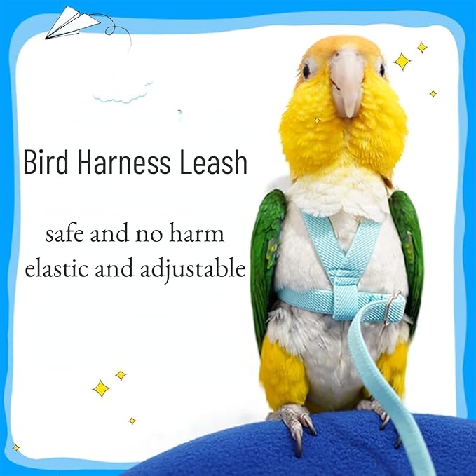 Bird Harness Leash Adjustable Outdoor Training Flying Harness Traction Rope with Cute Wing for Parrots Pigeons Budgerigar Lovebird Cockatiel Mynah (XL,Blue)