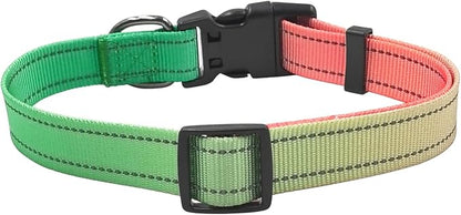 Dog Collar Leash Set, Gradient Color, with Safety Reflective Strips, 5 ft Matching Leash, Neoprene Padded Handle, Adjustable 4 Sizes for Small Medium Large Dogs.(S, Green Orange)