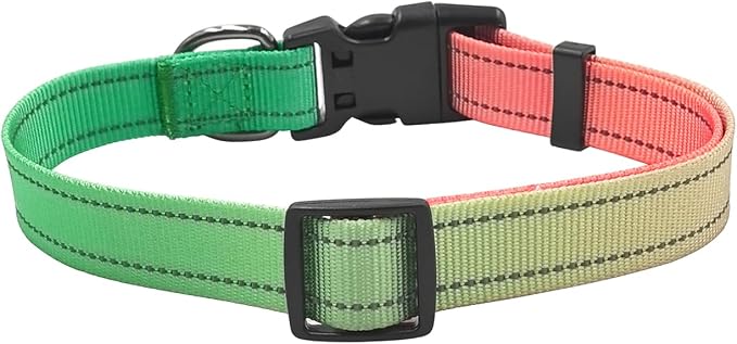 Dog Collar Leash Set, Gradient Color, with Safety Reflective Strips, 5 ft Matching Leash, Neoprene Padded Handle, Adjustable 4 Sizes for Small Medium Large Dogs.(L, Green Orange)