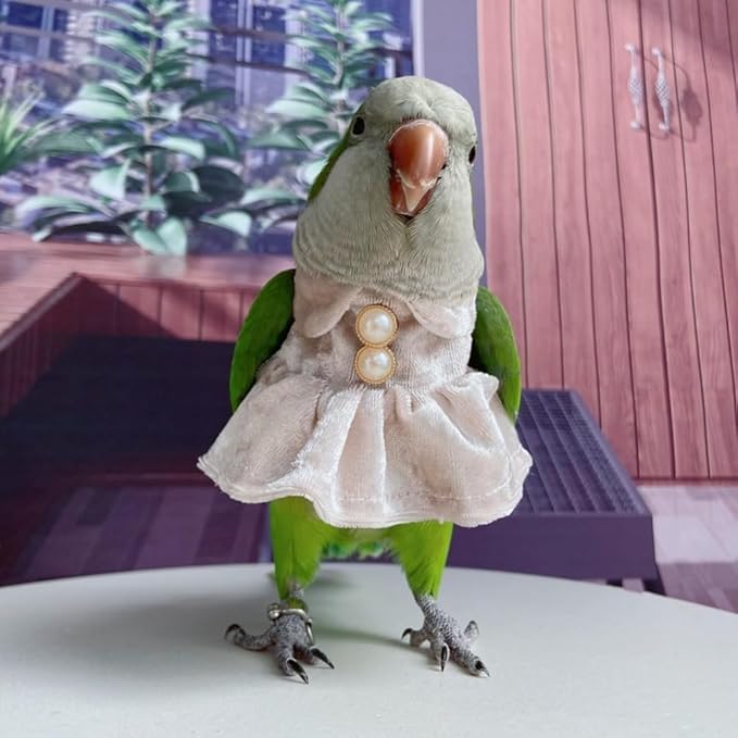 Bird Costume Bird Diaper Flight Suit Parrot Velvet Fleece Skirt Clothes Cosplay Photo Prop for Conure Lovebird Parakeet Cockatiel Macaw Small Animals Apparel (White,X-Large)