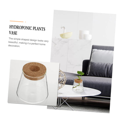 PRETYZOOM 2Pcs Glass Hydroponic Plant Vases for Desktop Home Decoration Clear Smooth Glass Terrarium for Floral Arrangement Office Plant Propagation Jar Unique Design
