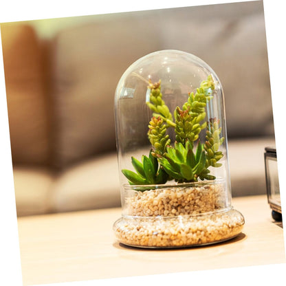 IMIKEYA Glass Moss Bottle for Terrarium Propagation Planters Plant Accessories Indoor Decor Fairy Garden Kit