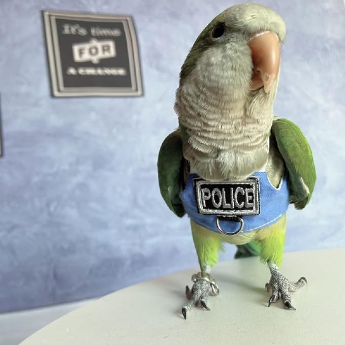 Bird Flight Harness Vest, Parrot Flight Suit with Leash, Bird Flying Clothes with Rope and Handle for Outdoor Activities (Without Leash,Cockatiel) (Without, 4XL)