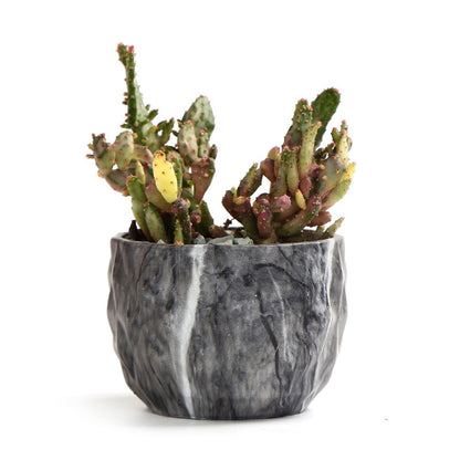 SE SUN-E Sun-E Modern Style Marbling Ceramic Flower Pot Succulent/Cactus Planter Pots Container Bonsai Planters with Hole 3.35 Inch Gift Idea(4 in Set) Plants Not Included