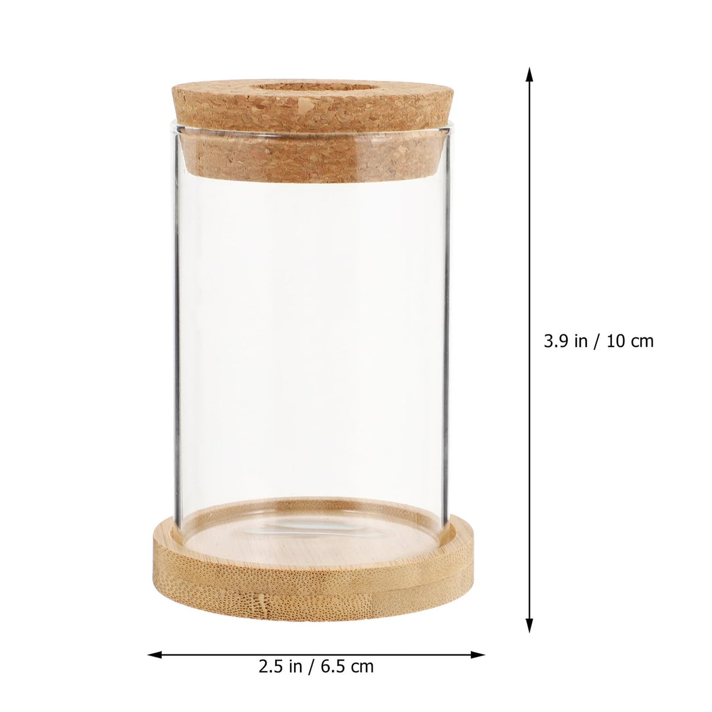 LOORGVEL 2pcs Hydroponics Plant Terrarium Glass Vases with Stand 6.5x10cm Desktop Water Planting Container for Office Home Decoration