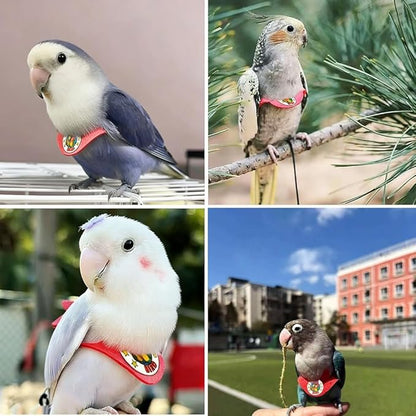 Adjustable Bird Harness & Leash Set for Small Birds,FitsBudgie,Parakeets, Conures, Cockatiels,Green Cheek,Quaker Parrots(Red, 2XL) Z6350-12