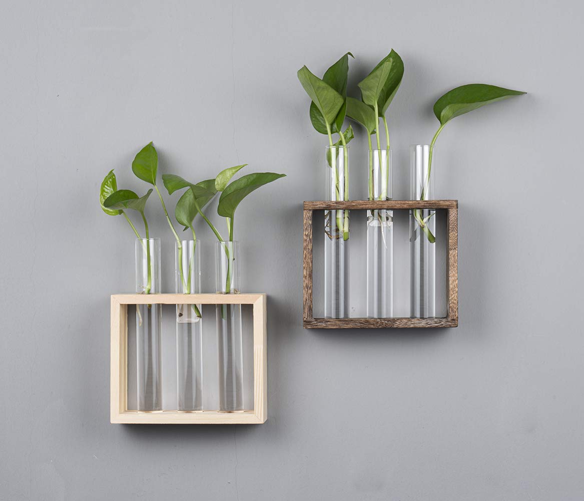 PACDONA Wooden Propagation Station with 3 Glass Test Tubes, Tabletop Glass Terrarium Holder for Cuttings Hydroponics, Home Office Desk Decor Gift for Women Mom Plant Lovers, Brown