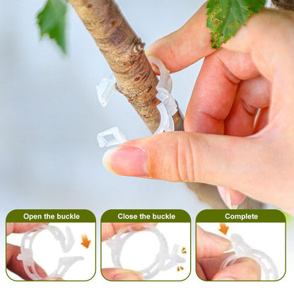 Plant Support Clips, Garden Clips for Climbing Plants, Tomato Clips Plastic Plant Clips, Plant Clips for Support Grape Tomato Vegetables Plants to Grow Upright Makes Plants Healthier (200, Green)
