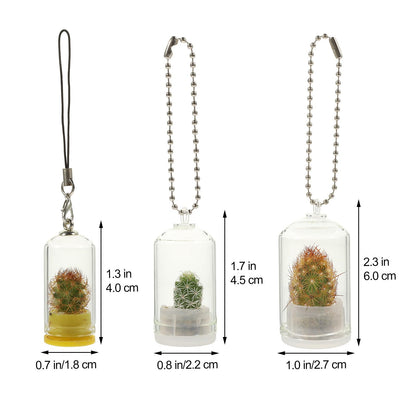 Ipetboom Desk Decor Desk Decor Glass Vase 6pcs Miniature Potted Plants Keychain Clear Terrarium Plant Keychain for Car Key Pendant Backpack Charms Glass Vase Vase