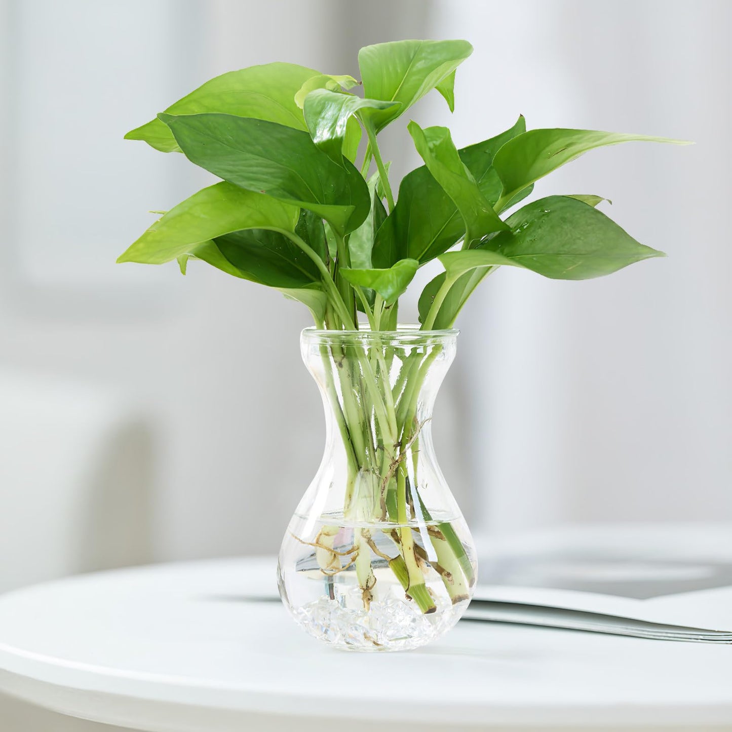 Angoily 4pcs Small Glass Hydroponic Flower Vases for Hyacinth Bulb Growing, Decorative Bud Vases for Home Office Centerpieces and Plant Terrariums