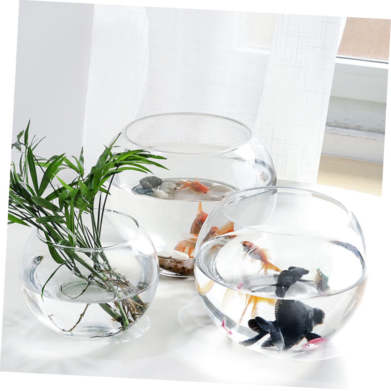Sosoport Hydroponics Glass Vase Transparent Desktop Flower Pot Smooth Surface Decorative Plant Holder for Home Office Hotel Terrarium Succulent Display