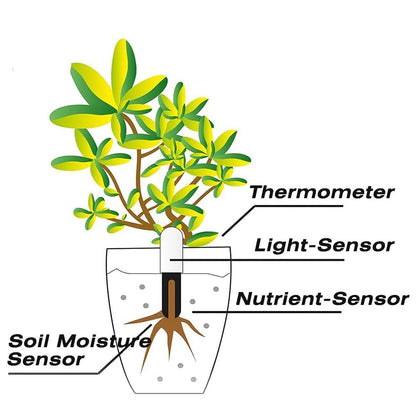 Soil Moisture Meter 4 in 1,Plant Water Monitor,Automatically detect Moisture/Temperature/Light/Fertility,Can Connect to Mobile Phone via Bluetooth,Hygrometer Sensor for Indoor Plants (3pc)