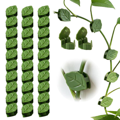 30 Pcs Plant Climbing Wall Fixture Clips with Acrylic Adhesive Stickers, Leaf Fixer Invisible Wall Vines Fixing Clips Self-Adhesive Hook Plant Vine Traction for Indoor Outdoor Decoration (30 Pcs)