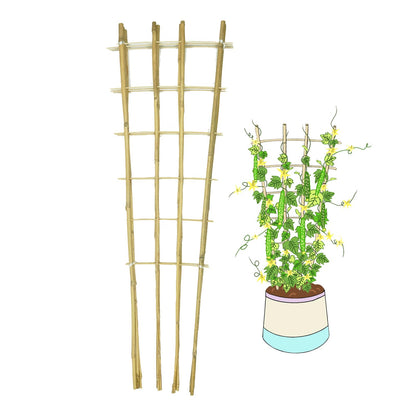 Natural Bamboo Trellis, 4Feet,3Pack,Fan-Shaped Plant Support Trellis for Outdoor and Indoor Potted Climbing Plants,Vegetables, Cucumber, Tomato, Hoya,