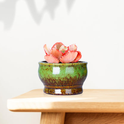 ARTKETTY Succulent Pots - 4.3 Inch Small Plant Pots with Drainage Set of 5, Ceramic Pots for Indoor Plants Glazed Cactus Flower Planter Container