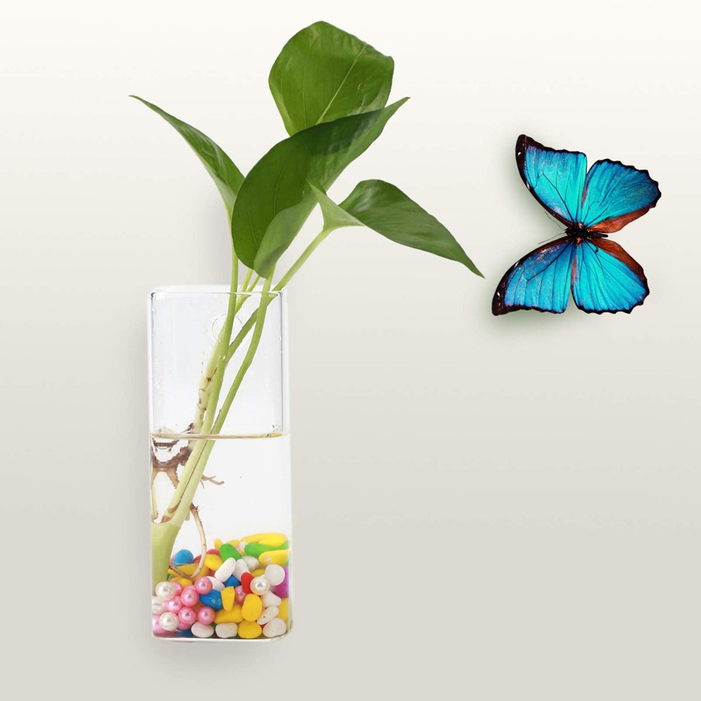 Kuuleyn Hanging Glass Vase, Glass Vase for Plants and Flowers, Flower Planter Wall Hydroponic Aquarium Container Home Decor (Long Tube Shape)