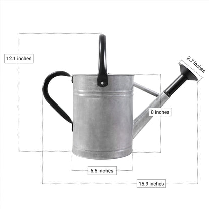 1 Gallon Metal Watering Can for Outdoor Garden, Plant & Flower Watering Pot for Gardening Bonsai Water Bucket with Sprinkler Head