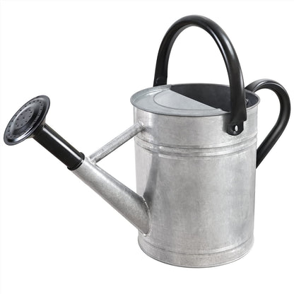 1 Gallon Metal Watering Can for Outdoor Garden, Plant & Flower Watering Pot for Gardening Bonsai Water Bucket with Sprinkler Head