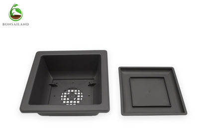 Bonsai Training Containers with Humidity Trays, 6.5 Inch Square Plastic Planter Pots for Garden, 3 Pack for Succulents, Small Flowers and Plants