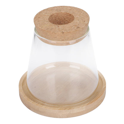 IMIKEYA Hydroponic Glass Flower Vase with Wooden Stopper and Tray, Ecological Plant Terrarium Bottle for Office Desktop Decoration and Indoor Gardening