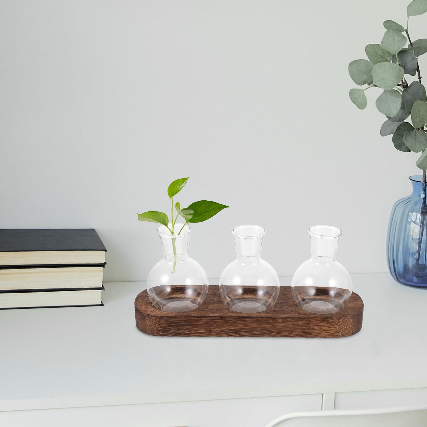 LALAFINA Glass Hyacinth Vase with Wooden Base, Hydroponic Table Glass Flower Container for Office and Living Room Decoration, 3pcs Set Terrarium for Indoor Plants