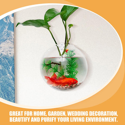 OKUMEYR Wall Mounted Hydroponic Glass Vase Set 4pcs, 10cm Glass Plant Terrarium with Removable Crystal Mud for Home Decoration and Succulent Propagation