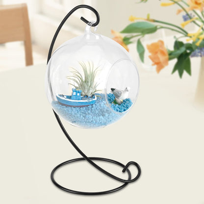Mtlavishness Hanging Glass Vase Large Terrarium with Frame for Air Plants Succulent