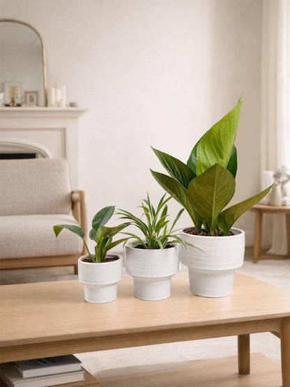 INGOFIN Ceramic Planter Pot Set of 3, 4/5/6 Inch Indoor Plant Decorative Cachepot for Pothos & Succulents, No Drainage Hole, Modern Tabletop Desk Display Pot for Home Decor, Pockmarks White
