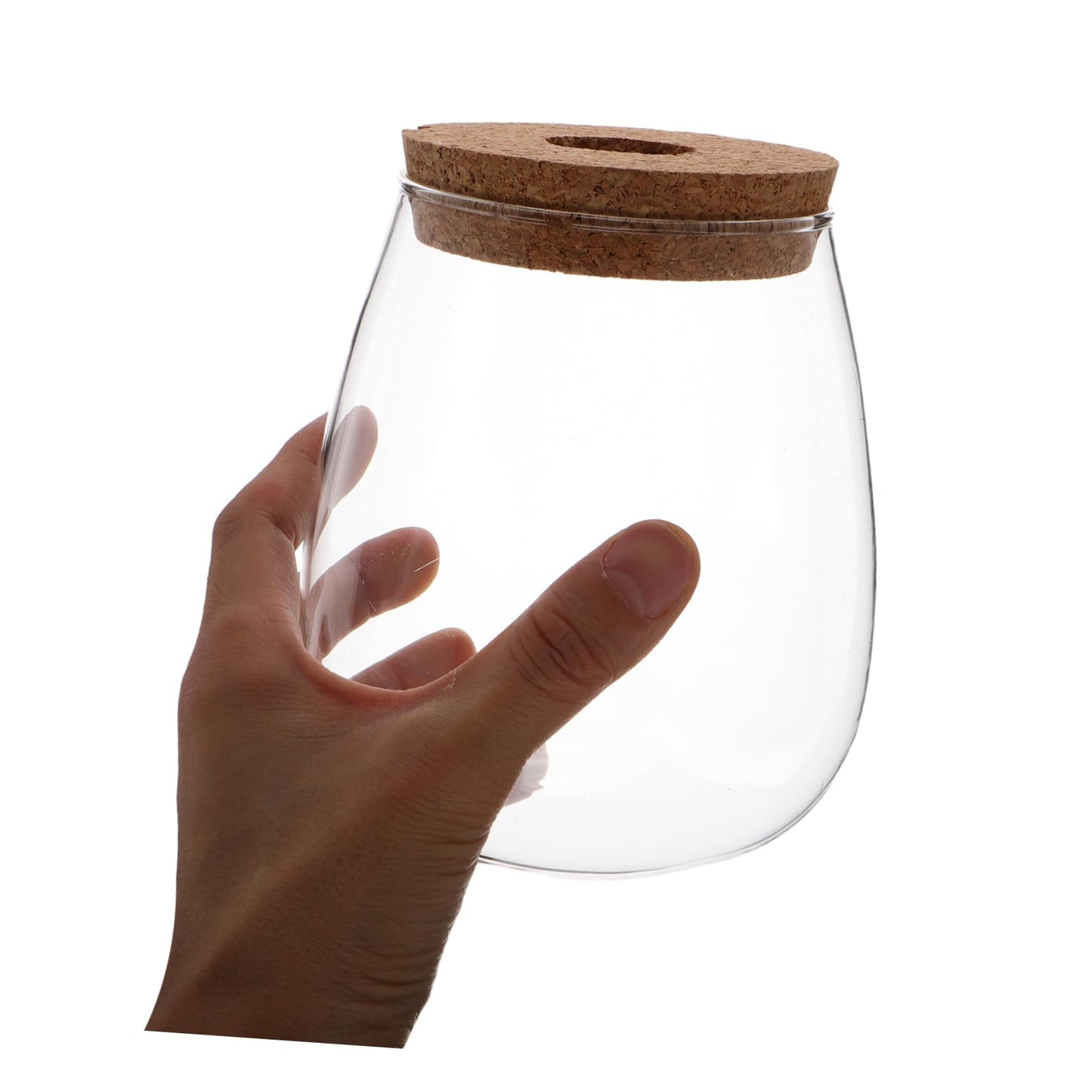ifundom Creative Hydroponic Glass Vase for Plants Transparent Desktop Propagation Planter Elegant Terrarium for Indoor Greenery Low Maintenance Water Propagation Station for Spaces