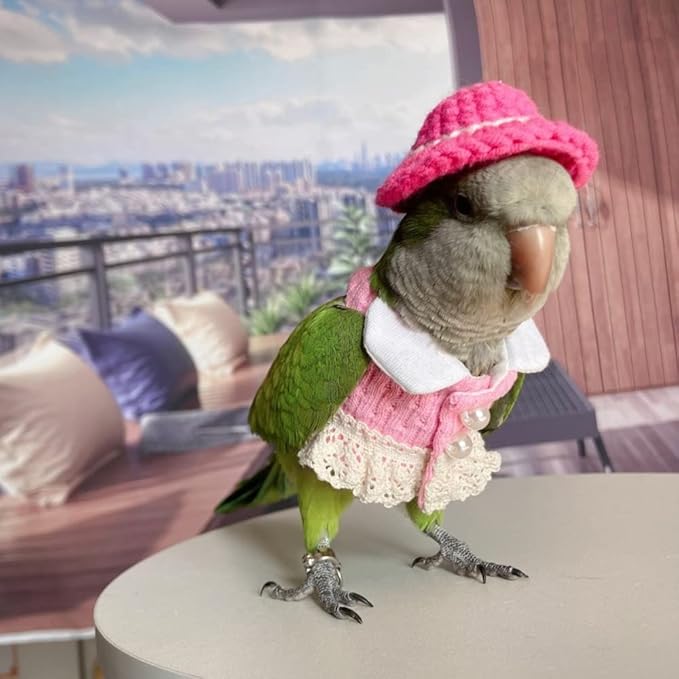 Bird Diaper Flight Suit - Pink Top Bird Clothes Cosplay Photo Prop for Parrots, Lovebirds, Parakeets, Cockatiels & Small Animals (Blue Quaker)