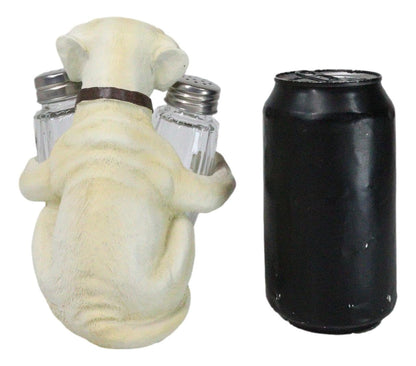 Ebros Pup And Spice Cute Wide Eyed Labrador Puppy Dog Hugging Glass Salt And Pepper Shakers Holder Figurine Whimsical Cartoon Pet Fawn Labradors Decor Statue