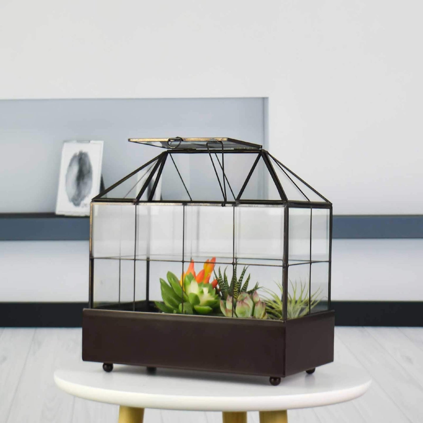 YIMORENCE V Large Tall Plant Terrarium Glass Greenhouse with Lid and Tray, Indoor Tabletop Orchid Succulent Cacti Kit 9.5'X9.8'X5.6'