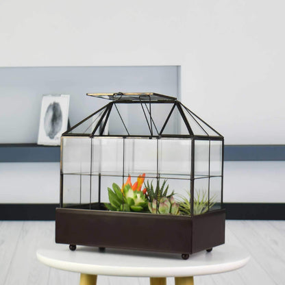 YIMORENCE V Large Tall Plant Terrarium Glass Greenhouse with Lid and Tray, Indoor Tabletop Orchid Succulent Cacti Kit 9.5'X9.8'X5.6'