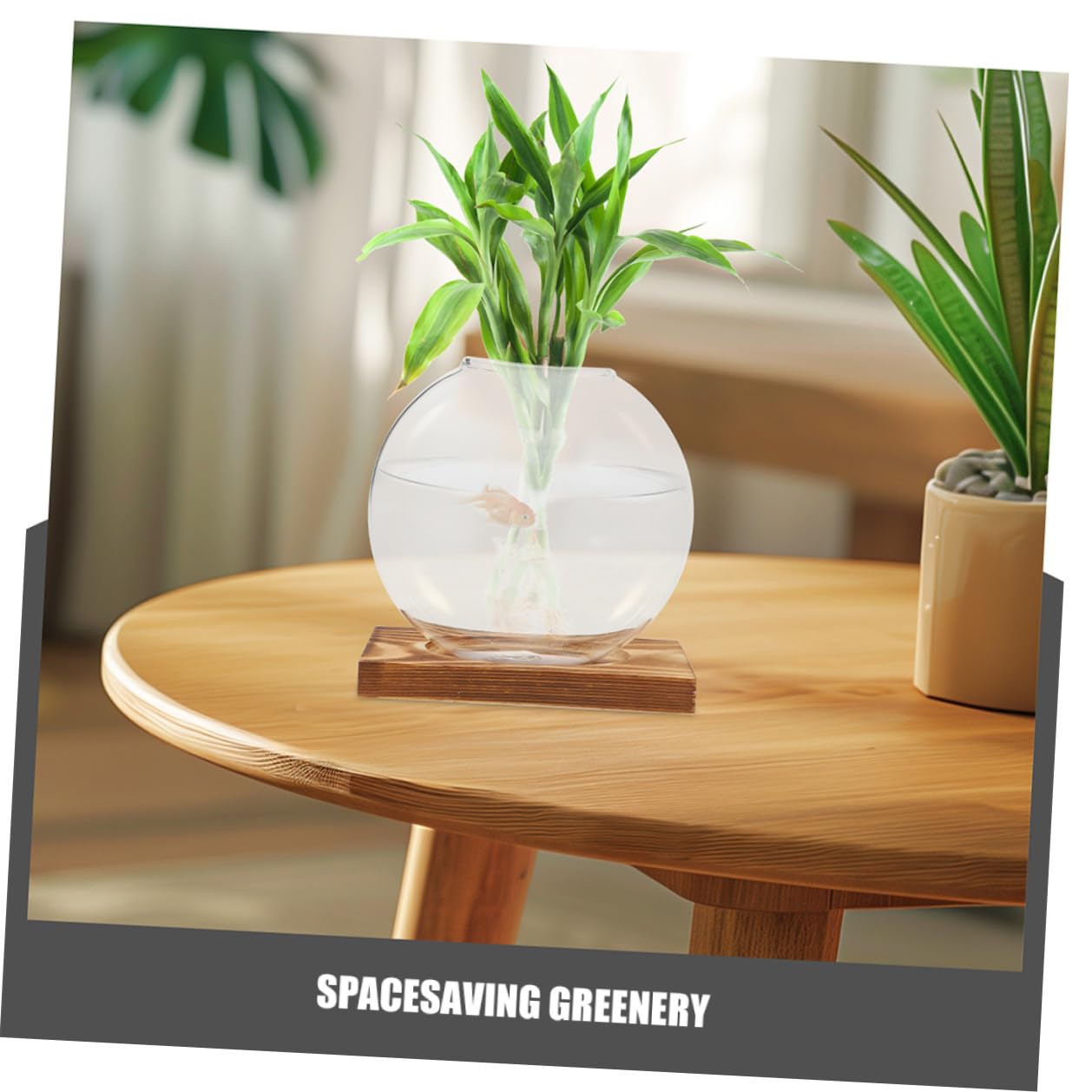 OUNONA 2pcs Hydroponic Propagation Glass Vessels with Wooden Base, Small Containers for Indoor Plants, Desk Terrarium Station for Home and Office Decor