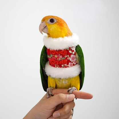 Bird Costume Bird Flight Suit Bird Clothes Cosplay Photo Prop for Parrots Parakeet Cockatiel Sun Conure, Bird Hoodie Small Animals Apparel (Black, Small)