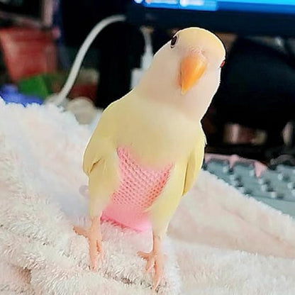 5 Pcs Summer Holey Style Bird Diaper Parrot Nappy Reusable Flight Suit with Waterproof Inner for Parakeet Cockatiel Macaw Budgie Lovebird Conure (S)